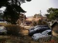 gate pine 03.jpg